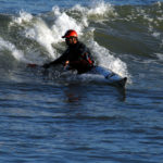 Anas Acuta surf