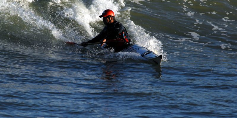 Anas Acuta surf